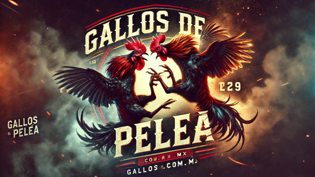 Untitled design(2) Gallos de pelea,Peleas de gallos,Entrenamiento de gallos de pelea,Razas de gallos de pelea,Gallos de pelea mexicanos,Venta de gallos de pelea,Gallos de pelea en México,Gallos de pelea famosos,Historia de las peleas de gallos,Cuidado de gallos de pelea,Alimentación para gallos de pelea,Videos de peleas de gallos,Fotos de gallos de pelea,Gallos de pelea en venta,Gallos de pelea en Estados Unidos,Gallos de pelea en Colombia,Gallos de pelea en Perú,Gallos de pelea en Filipinas,Gallos de pelea en España,Gallos de pelea en Argentina,Gallos de pelea en Venezuela,Gallos de pelea en República Dominicana,Gallos de pelea en Puerto Rico,Gallos de pelea en Cuba,Gallos de pelea en Honduras